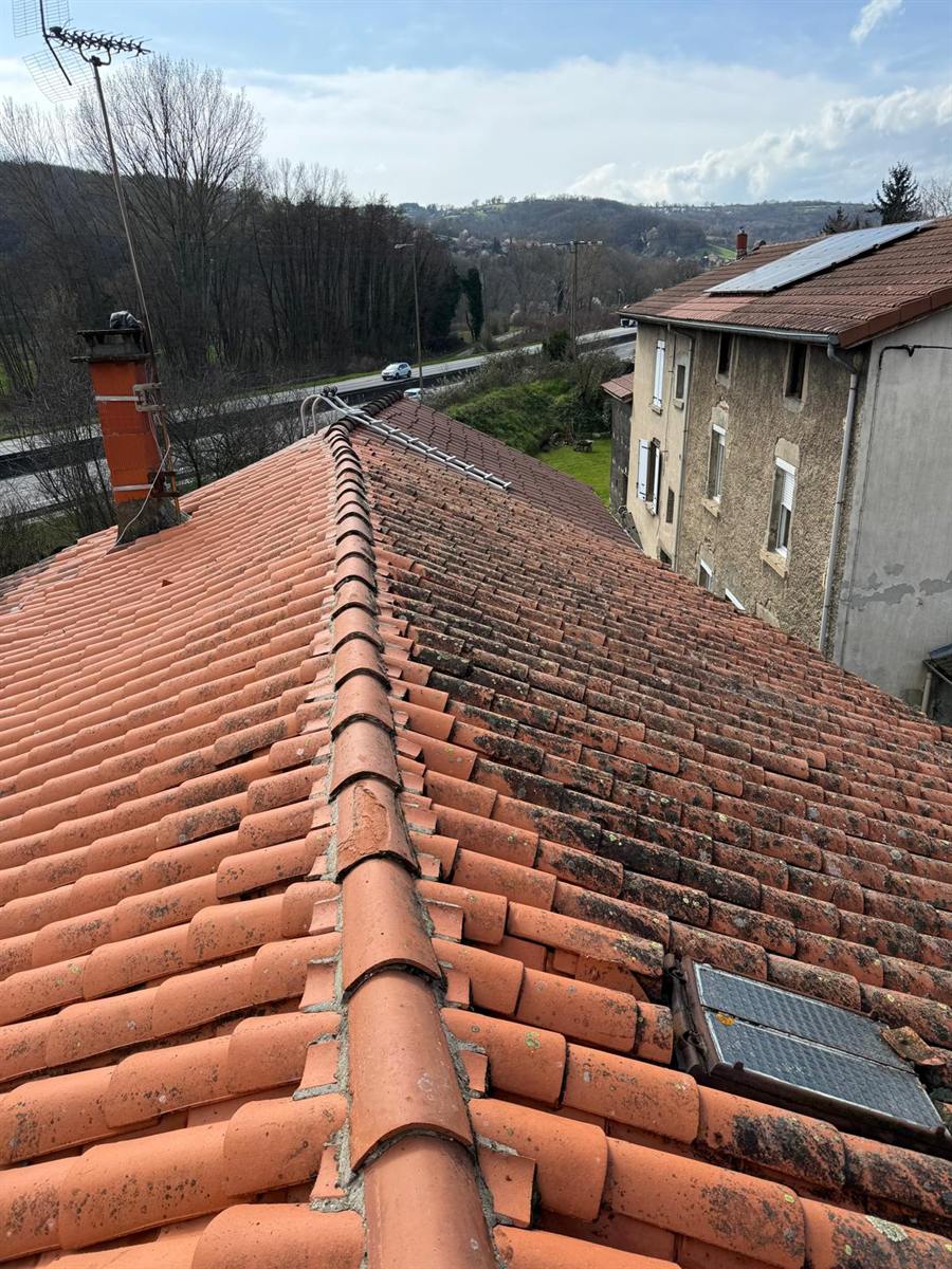 Toiture en tuiles vue du faîtage : un versant démoussé, l'autre encore couvert de mousse